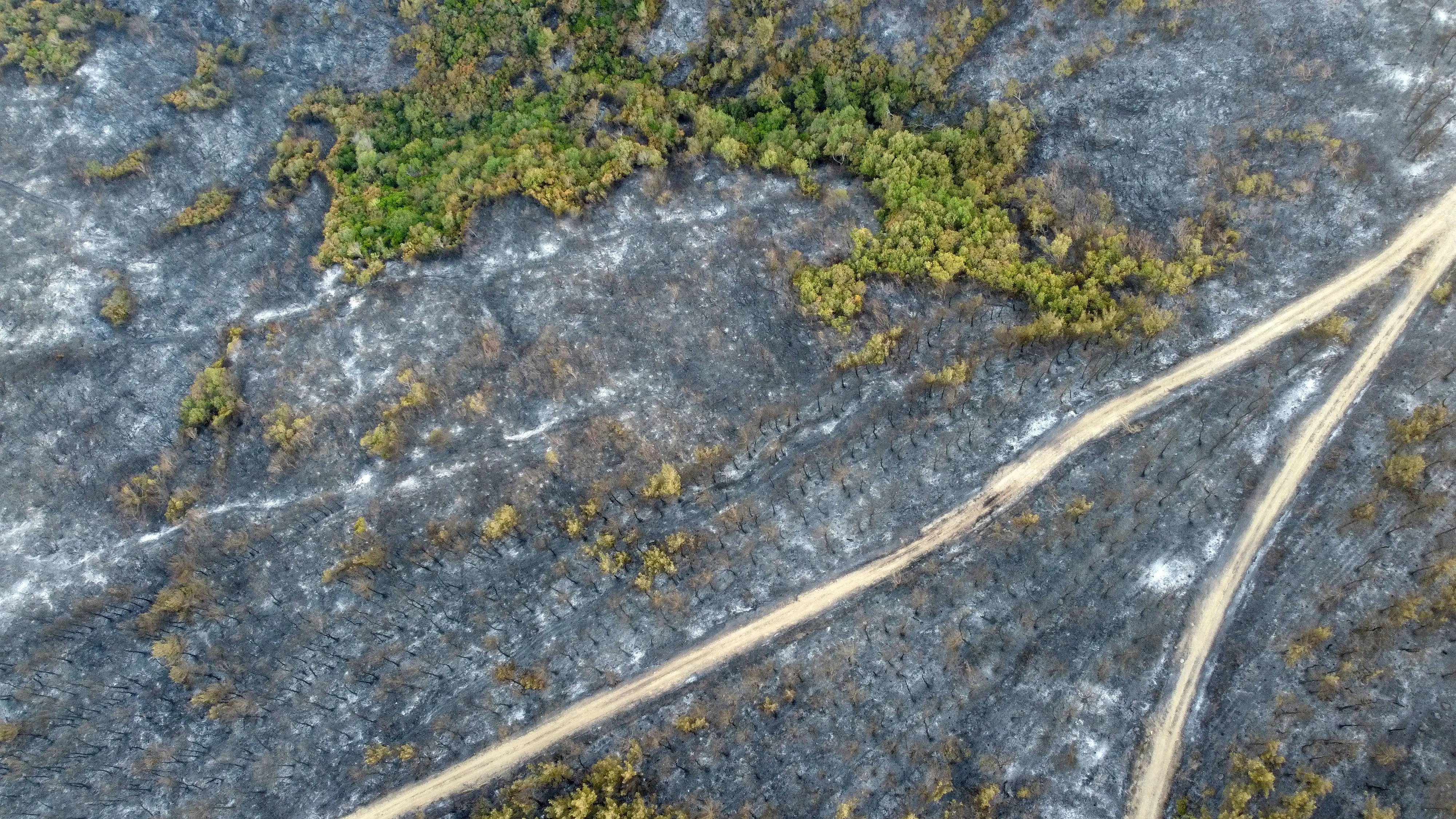 Orman yangınlarıyla mücadelede yeni cephe: Gözle değil, verilerle görmek